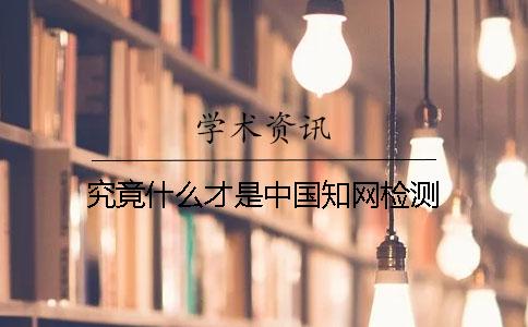 究竟什么才是中國學(xué)術(shù)檢測？