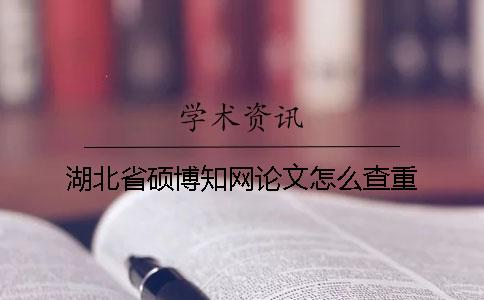 湖北省碩博學(xué)術(shù)論文怎么查重